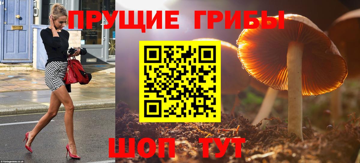 Псилоцибиновые грибы Magic Shrooms  Вход с VPN  Дагестанские Огни  Галлюциногенные грибы MAGIC MUSHROOMS 